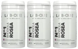 n1-rhodiola-rosea-60-kapsulek-adaptogen-wewnetrzna-rownowaga-rozeniec