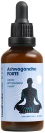 healthlabs-ashwagandha-forte-men-45-ml-odpornosc-pamiec-koncentracja-stres