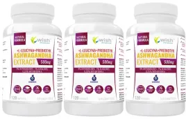 wish-ashwagandha-ekstrakt-120-pamiec-spokoj-nastroj-sen-relaks-3-sztuki