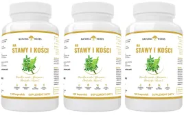 altopharma-na-stawy-i-kosci-produkcja-kolagenu-uklad-nerwowy-3-x-120-kaps
