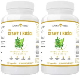 2-x-altopharma-na-stawy-i-kosci-120-kaps-aparat-ruchu-produkcja-kolagenu