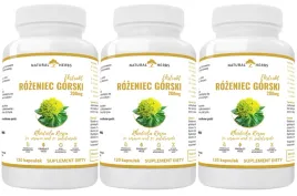 3-szt-altopharma-rozeniec-gorski-ekstrakt-20-1-120kaps-uklad-nerwowy-umysl