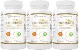 3-x-kadzidlowiec-120-kaps-produkcja-kolagenu-przeciwbolowe-progress-labs