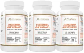 altopharma-glukozamina-chondroityna-msm-witamina-c-elastycznosc-120-kaps