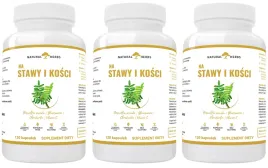 3x-altopharma-na-stawy-i-kosci-120kaps-aparat-ruchu-metabolizm-energetyczny