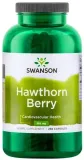 glog-owoce-565mg-250kaps-swanson