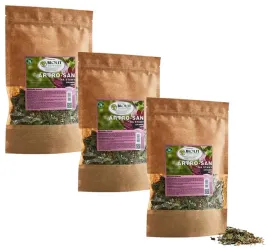 biolit-artro-san-100g-rzepik-uklad-pokarmowy-stawy-korzen-mniszka