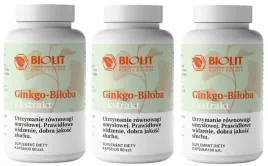 biolit-ginkgo-biloba-60-kaps-krazenie-peryferyjne-oczy-wzrok-sluch