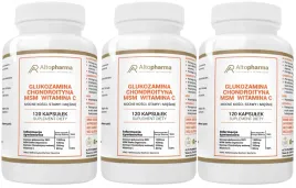 glukozamina-chondroityna-msm-witamina-c-3-x-120-kaps-elastycznosc-stawow