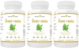 3-x-altopharma-na-stawy-i-kosci-120-kaps-produkcja-kolagenu-przeciwzapalne
