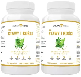 2-sztuki-altopharma-na-stawy-i-kosci-uklad-nerwowy-przeciwzapalne-120-kaps