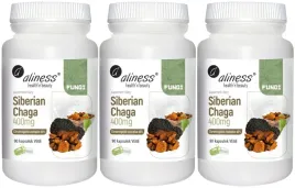 3-x-siberian-chaga-ekstrakt-40percent-400mg-90-vege-caps-stres-oksydacyjny-grzyby