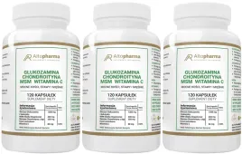 glukozamina-chondroityna-msm-witamina-c-ruchomosc-elastycznosc-3-x-120-kaps