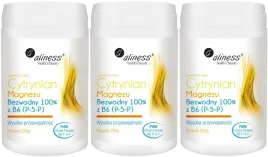 3x-cytrynian-magnezu-z-b6-p-5-p-250-g-proszek-uklad-nerwowy-bezwodny-100percent