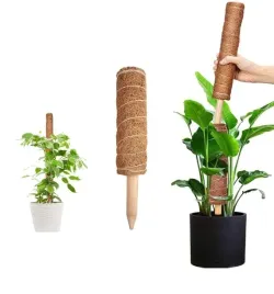 palik-kokosowy-do-roslin-30-cm-podpora-dla-pnaczy-srednica-4-cm