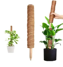 podpora-do-kwiatow-palik-kokosowy-90cm-tyczka-do-roslin-1szt