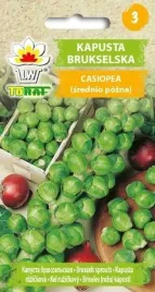 kapusta-brukselska-casiopea-nasiona-1g-toraf-89