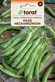 fasola-szparagowa-karlowa-hilds-neckarkonigin-nasiona-10g-toraf-56