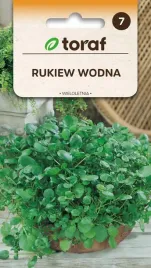 nasiona-warzyw-rukiew-wodna-wieloletnia-02g-toraf-205