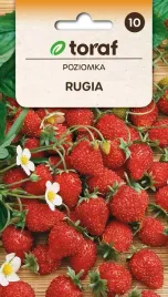 nasiona-poziomka-rugia-02g-toraf-200