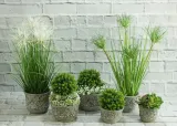 oslonka-1-cm-beton-brazowy-kolor-brazowy-styl-rustykalny