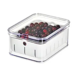 pudelko-idesign-pojemnik-na-owoce-bpa-free-przezroczysty-21x16x21-cm
