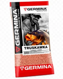 germina-zaneta-truskawka-1kg