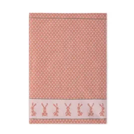 scierka-kuchenna-szarak-50x70-8525-10-ruda