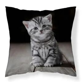 poszewka-40x40-kotek-szary-3d-z-motywem-kota-fun-dreams
