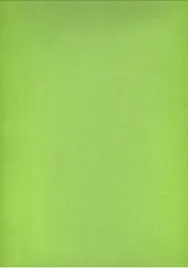 przescieradlo-bawelniane-200x220-zielone-jednobarwne