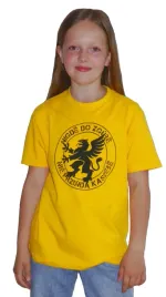t-shirt-kaszubski-dzieciecy-zolty-kaszebe-142-152