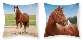 poszewka-dziecieca-40x40-kon-mf-03-kids-114