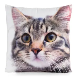 poszewka-dekoracyjna-45x45-animal-71-kotek-eurofirany