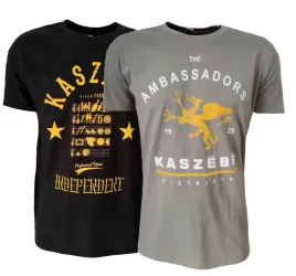 t-shirt-meski-kaszuby-grey-ambasadors-m