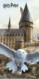 recznik-plazowy-70x140-harry-potter-hedwig-bezowy-bawelniany