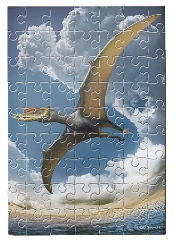 puzzle-national-geographic-pterozaur-63el-liczba-elementow-63