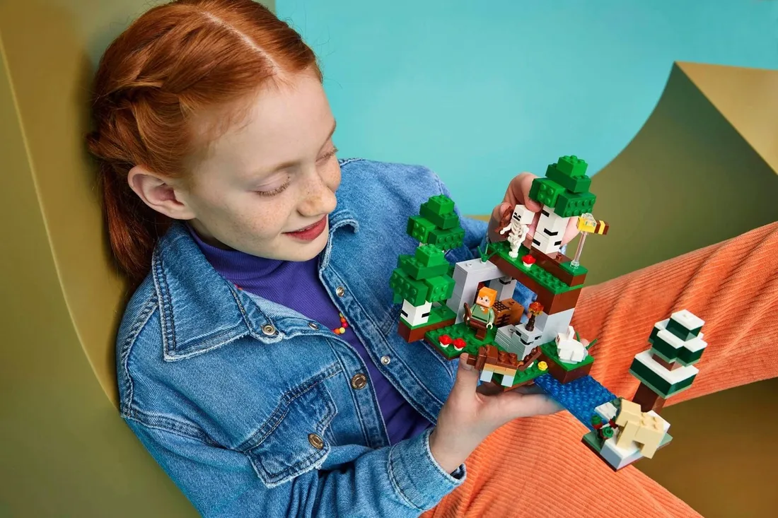 lego-21593-minecraft