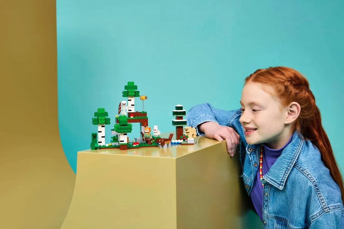 lego-21593-minecraft