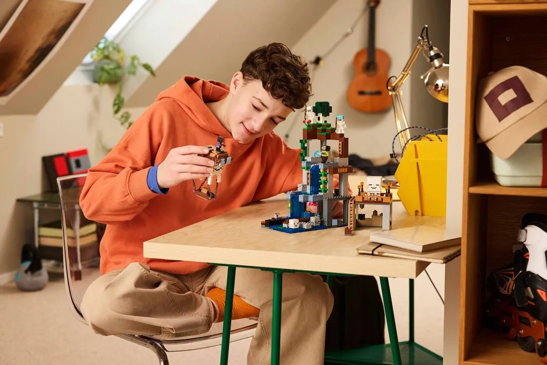 lego-21597-minecraft