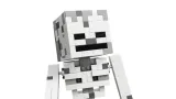 lego-21594-minecraft-wiek-dziecka-10-lat