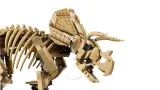 lego-77985-jurrasic-world-marka-lego