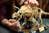 lego-77985-jurrasic-world-stan-nowy-plec-chlopcy-dziewczynki-unisex