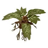 pluszowa-mandragora-35-cm-stan-nowy