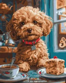 malowanie-po-numerach-maltipoo-w-kawiarni-40x50