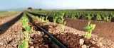 linia-kroplujaca-simo-0103010000001-100-m-kod-producenta-0103010000001-marka-simo