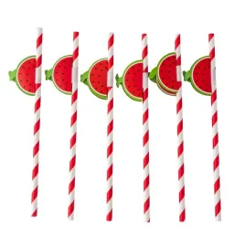 slomki-rurki-papierowe-do-picia-do-napojow-altom-design-arbuz-195-cm-6-szt