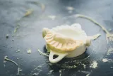 foremka-skladana-do-pierogow-practic-kolor-wielokolorowy