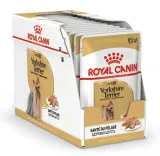 royal-canin-yorkshire-terrier-12x85g