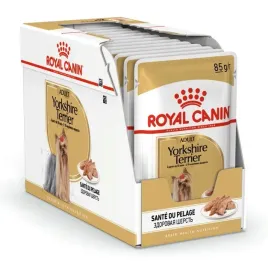 royal-canin-yorkshire-terrier-12x85g