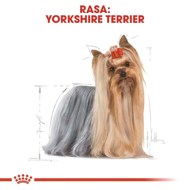 royal-canin-yorkshire-terrier-12x85g-marka-royal-canin